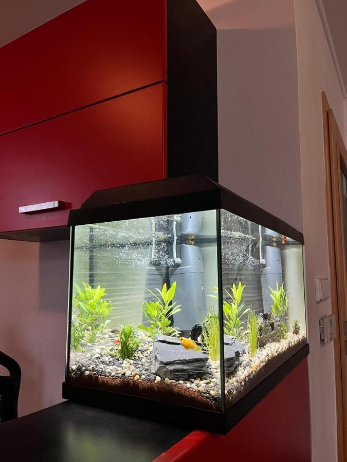 Relaxklub S Wellness Apartment *