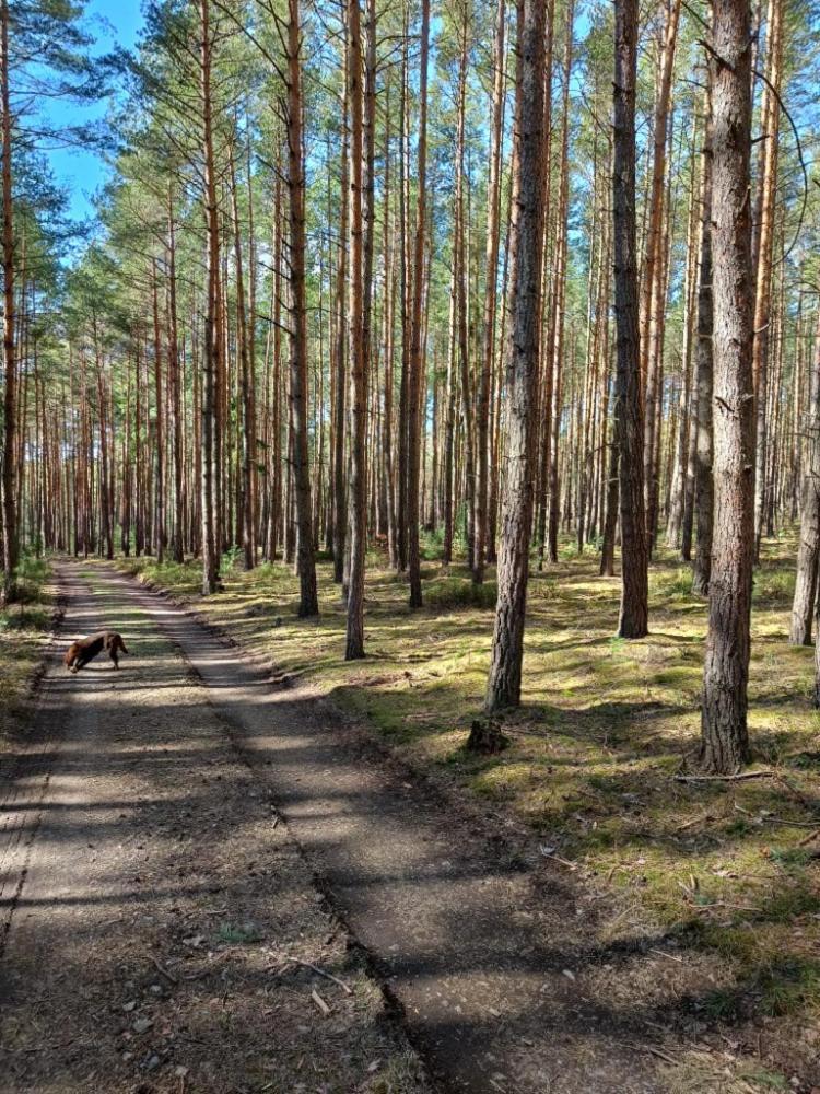 Relaxklub S Wellness Tremosna